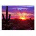 arizona sunset Postcard