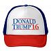 Donald Trump '16 Hat
