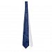 Blue Geek Motherboard Pattern Tie