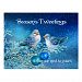 Christmas Bluebirds Tweeting in a Snowy Tree Postcard