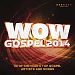 Anderson Merchandisers Various Artists - Wow Gospel 2014 (2Cd)