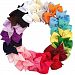 20pcs 3" Boutique Hair Bows Girls Kids Children Alligator Clip Grosgrain Ribbon Headbands 20 Color by MrSleeper