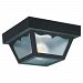 1-Light Clear Outdoor Ceiling Fixture