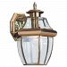 1-Light Polished Brass Outdoor Wall Lantern