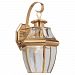 1-Light Polished Brass Outdoor Wall Lantern