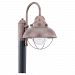 1-Light Weathered Copper Outdoor Post Lantern