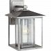 1-Light Weathered Pewter Outdoor Wall Lantern