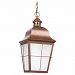 1 Light Weathered Copper Fluorescent Outdoor Pendant
