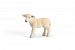 Schleich Lamb Standing Figurine