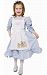 Dress Up America 547-T4 Goldilocks Fairytale - Size Toddler 4