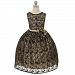 Kids Dream Girl 2T Black Lace Champagne Special Occasion Girl Dress