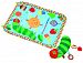World of Eric Carle, The Very Hungry Caterpillar Tummy Time Playmat and Pillow