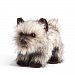 DEMDACO Cairn Terrier Plush Toy, Large