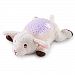 Summer Infant Slumber Buddies Projection and Melodies Soother, Laura the Lamb