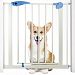Heavy Duty Easy Open Walk-Thru Steel Safety Gate – Great for Pets and Toddlers!