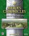 Heroes Chronicles: Clash of the Dragons (jewel case)