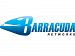 Barracuda Premium Support technical support - 3 years