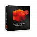 Sony Creative Software Sony Sound Forge Pro 11