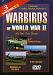 Warbirds of Wwii: Air War Over