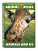 Animal Atlas: Animal and Us