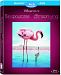 Disneynature : Les Ailes Pourpres - Le Mystère des flamants / The Crimson Wing - The Mystery of the Flamingo (Bilingual) [Blu-ray + DVD]