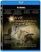 Alliance Films Cave Of Forgotten Dreams (Blu-Ray) Yes