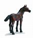 Schleich Arabian Foal Figurine