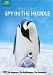 Bbc Penguins: Spy In The Huddle Yes