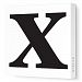 Avalisa Stretched Canvas Lower Letter X Nursery Wall Art, Black, 36 x 36