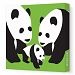 Avalisa Stretched Canvas Nursery Wall Art, Panda, Green, 12 x 12
