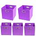 Modern Littles Color Pop Organization Bundle-5 Storage Bins, Purple