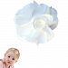 Baby Carnation TruStay Hair Clip - Best No Slip Barrette for Fine Hair (D3-White)