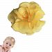 Baby Carnation TruStay Hair Clip - Best No Slip Barrette for Fine Hair (D5-Yellow)