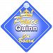 Crown Prince Quinn On Board Personalised Baby / Child Boys Car Sign