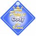 Crown Prince Cody On Board Personalised Baby / Child Boys Car Sign