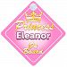 Crown Princess Eleanor On Board Personalised Baby / Child Girls Car Sign
