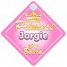 Crown Princess Jorgie On Board Personalised Baby / Child Girls Car Sign