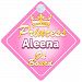 Crown Princess Aleena On Board Personalised Baby / Child Girls Car Sign