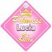 Crown Princess Lucia On Board Personalised Baby / Child Girls Car Sign