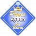 Crown Prince Ayaan On Board Personalised Baby / Child Boys Car Sign