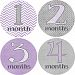 Pretty in Purple Monthly Baby Bodysuit Stickers by Rocket Bug