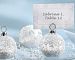 Snow Flurry Flocked Glass Ornament Place Card/Photo Holder (Set of 144) - Baby Shower Gifts & Wedding Favors by CutieBeauty KA