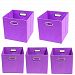 Modern Littles Color Pop Organization Bundle-5 Storage Bins, Purple by Modern Littles