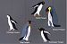Penguins Mobile by Skyflight Mobiles