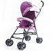 Bingio Ultra Light Weight Baby Stroller Baby Carrier Fast Delivery (Violet)