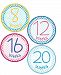 Geometric Circles Pregnancy Bump Stickers - Waterproof and Durable - Includes 8-40 Weeks Stickers by Lollipop Labels