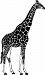Giraffe Vinyl Decal by Panda Expressions