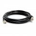 RG58C Cable, BNC Male / Male, 12.0 ft