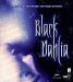 Black Dahlia - PC by Interplay