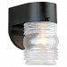 1-Light Black Outdoor Wall Sconce